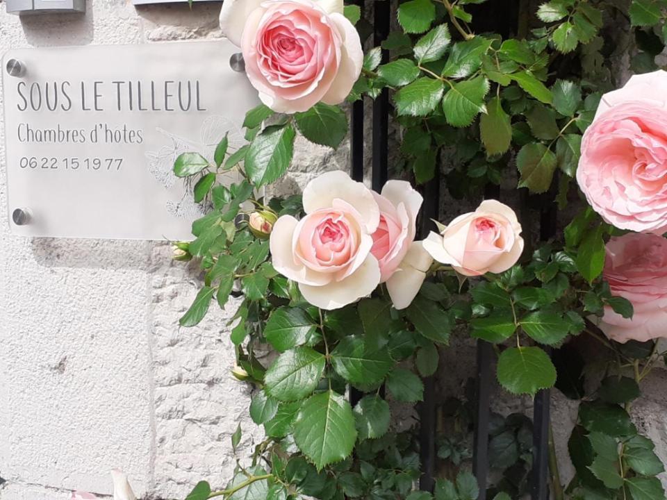 Sous Le Tilleul A Ruoms Buitenkant foto